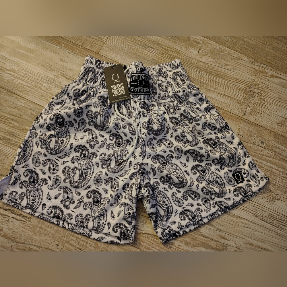 Paisley Print Men's Athletic Shorts